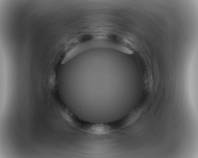 X0000086750231200704271716