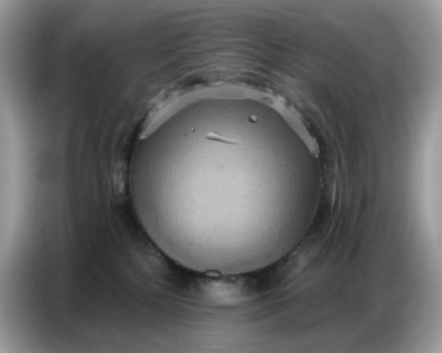 X0000086750232200704271716