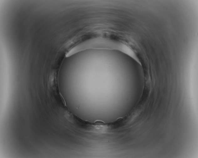 X0000086750233200704271716