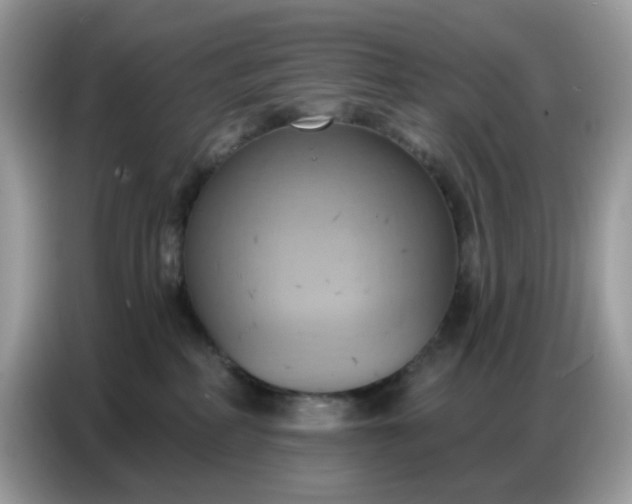 X0000086750234200704271716