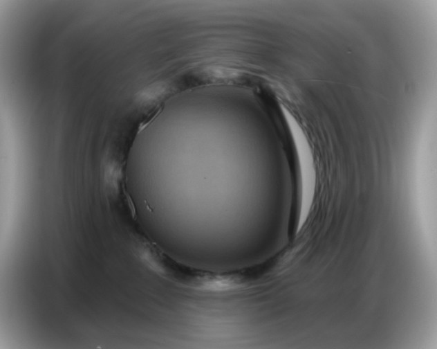 X0000086750235200704271716