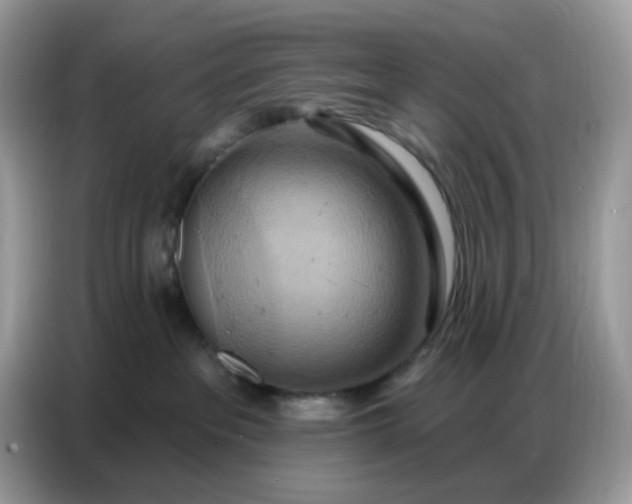 X0000086750237200704271716