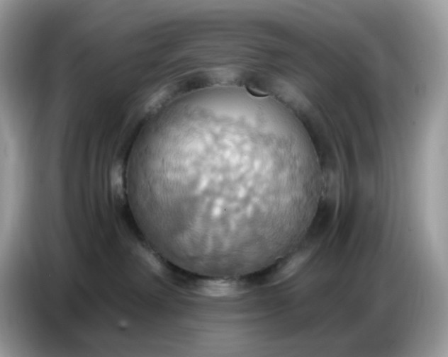 X0000086750238200704271716