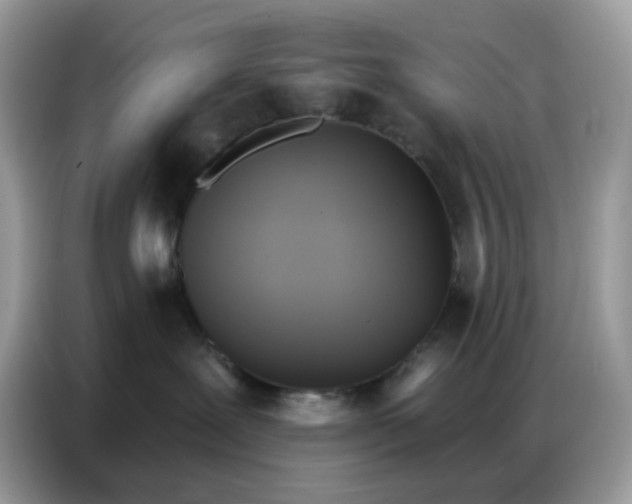 X0000086750239200704271716