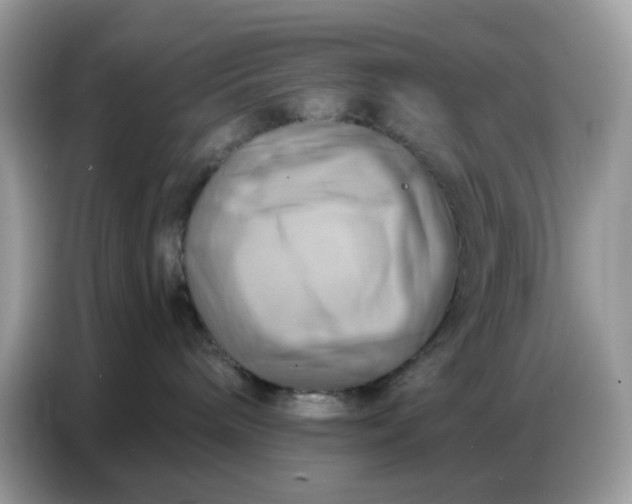 X0000086750240200704271716