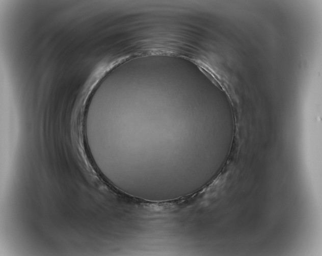 X0000086750241200704271716