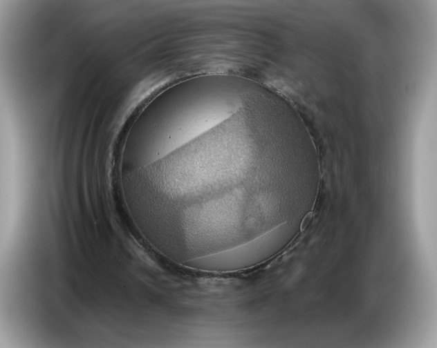 X0000086750242200704271716