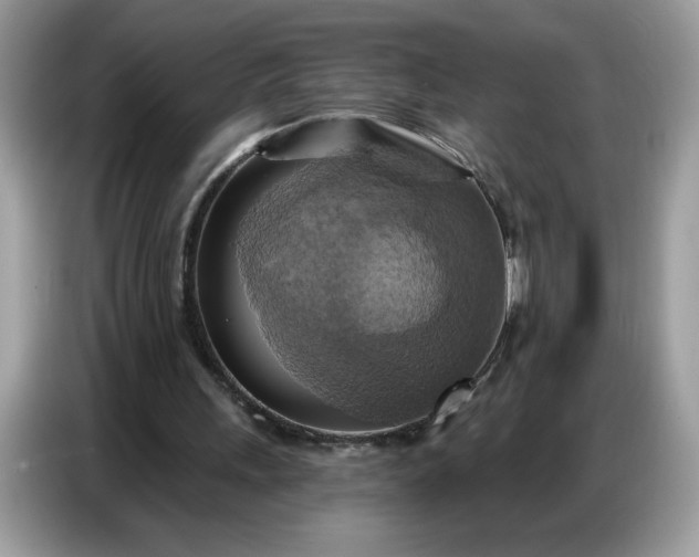 X0000086750243200704271716