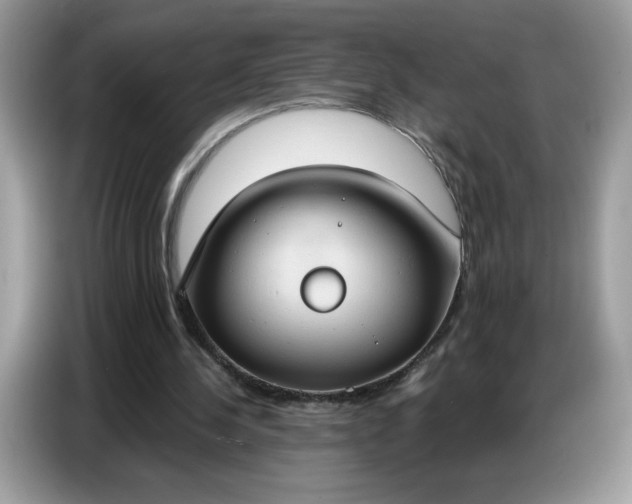 X0000086750244200704271716