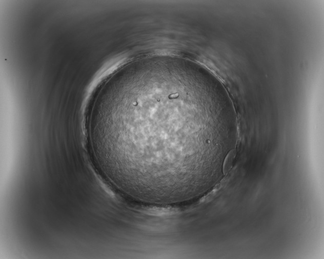 X0000086750245200704271716