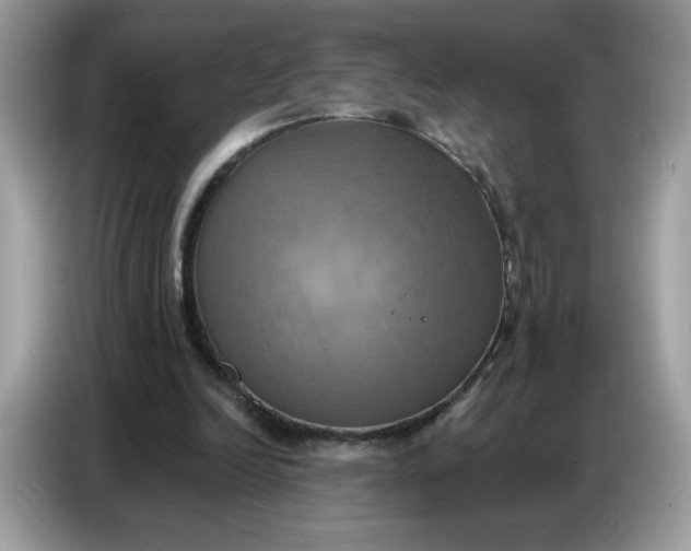 X0000086750246200704271716