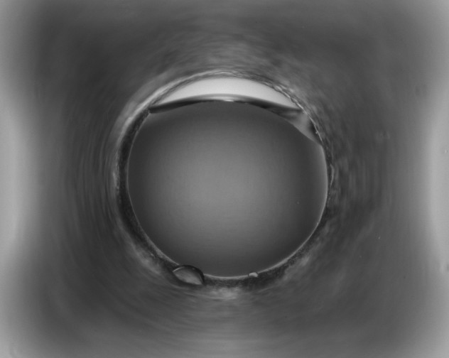 X0000086750247200704271716