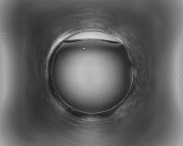 X0000086750248200704271716