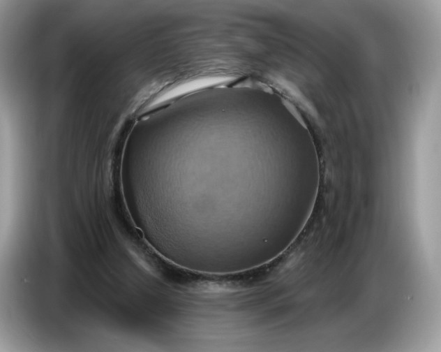 X0000086750250200704271716