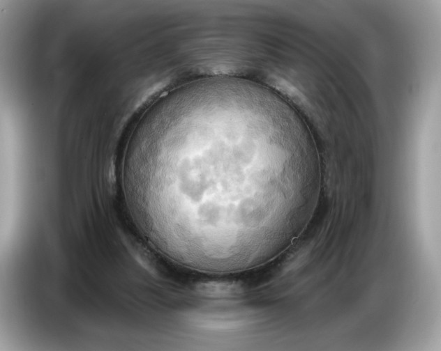 X0000086750251200704271716