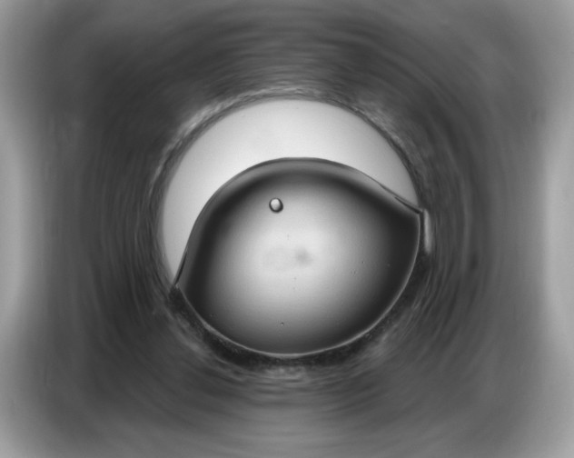 X0000086750252200704271716