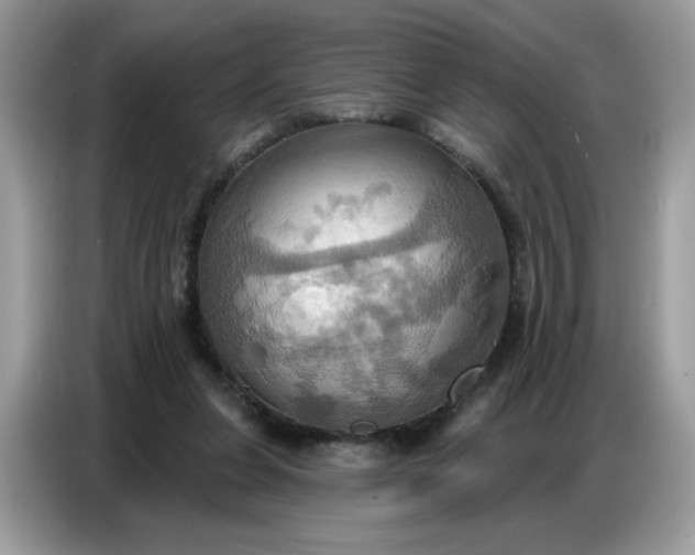 X0000086750255200704271716