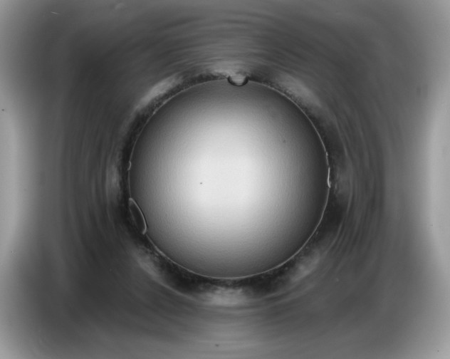 X0000086750256200704271716