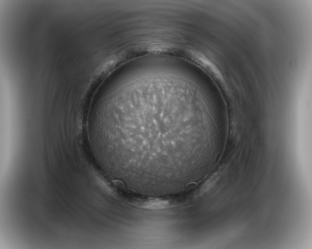 X0000086750257200704271716