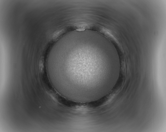 X0000086750259200704271716