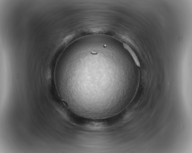 X0000086750260200704271716