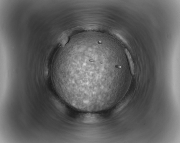 X0000086750261200704271716