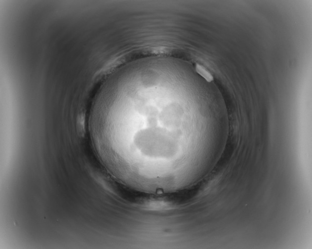 X0000086750262200704271716