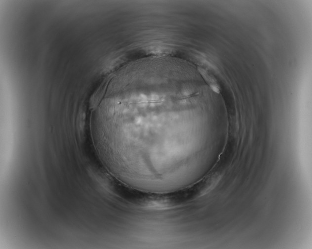 X0000086750263200704271716