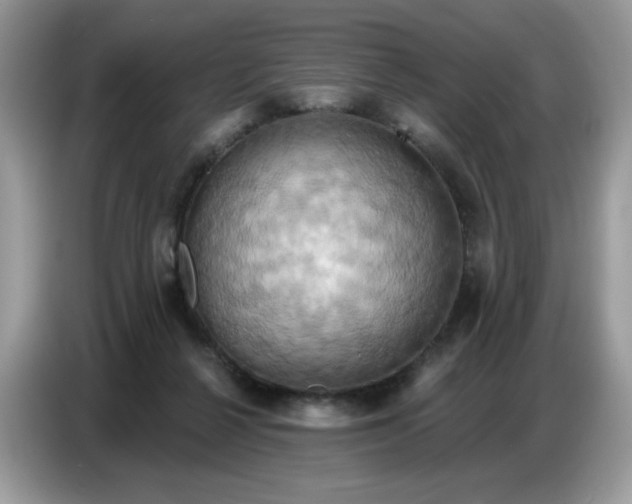 X0000086750264200704271716