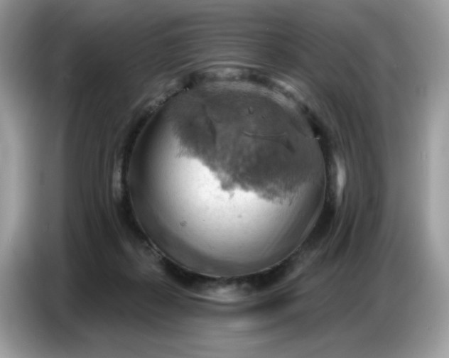 X0000086750267200704271716