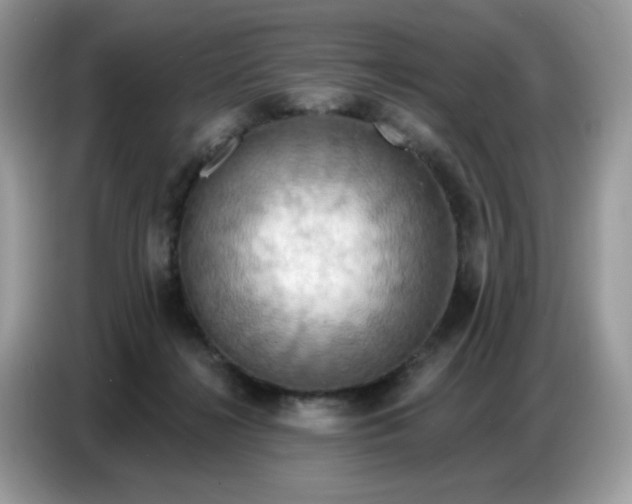 X0000086750268200704271716