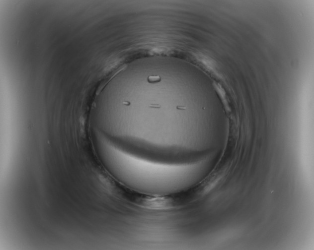 X0000086750269200704271716