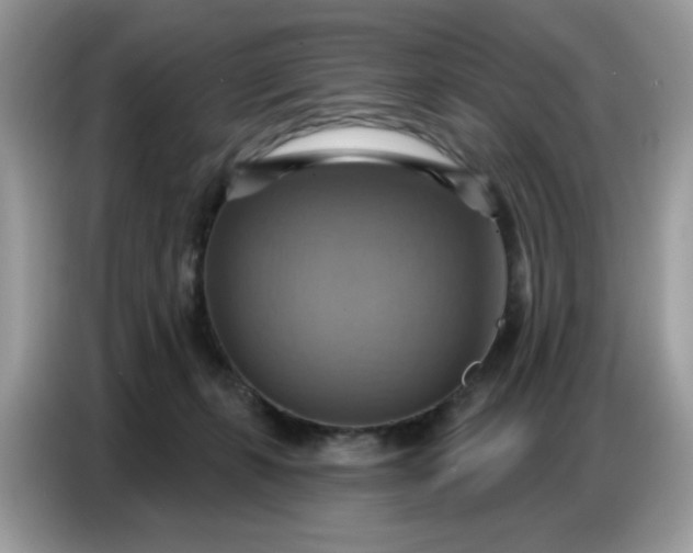 X0000086750271200704271716