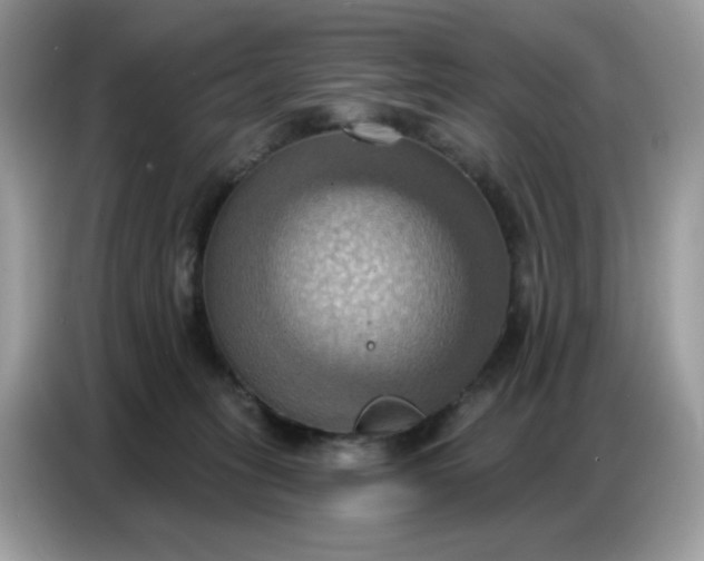 X0000086750275200704271716