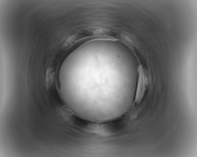 X0000086750276200704271716