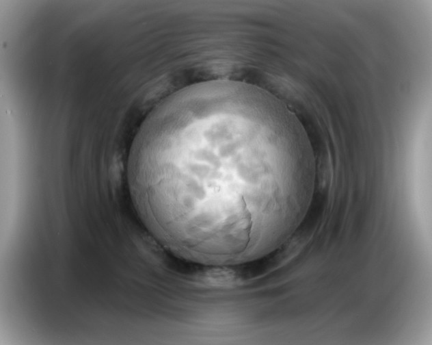 X0000086750279200704271716