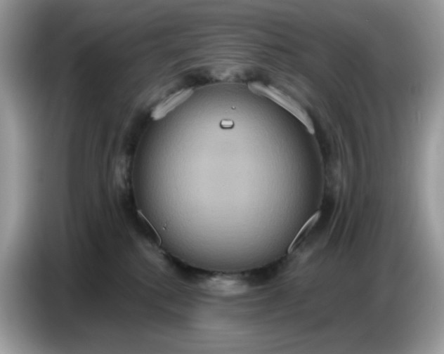 X0000086750280200704271716