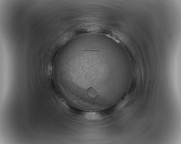 X0000086750281200704271716