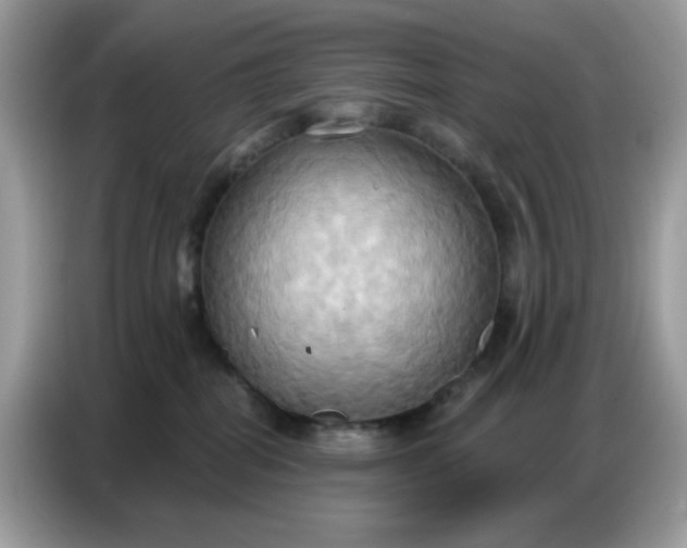 X0000086750282200704271716