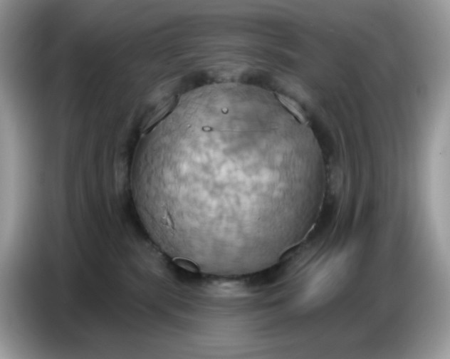 X0000086750283200704271716