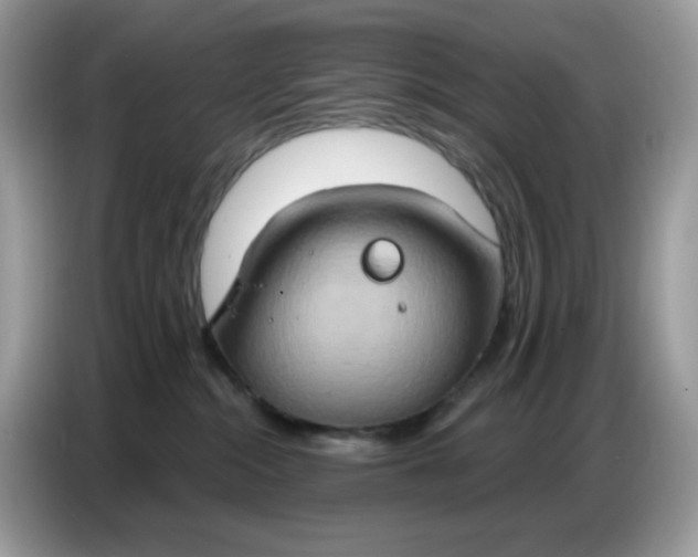 X0000086750284200704271716