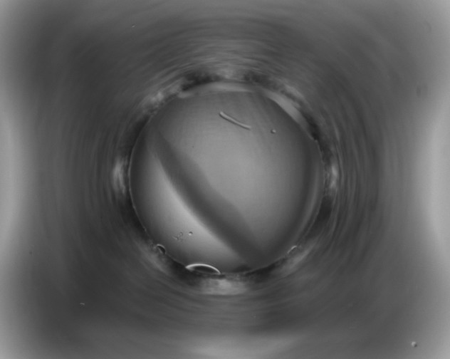 X0000086750286200704271716