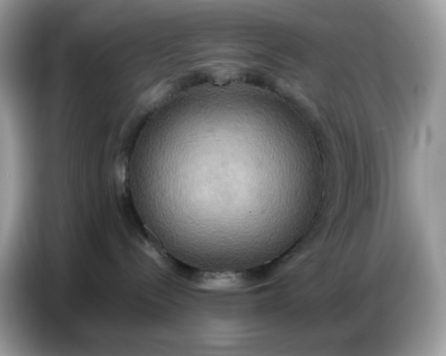 X0000086750288200704271716