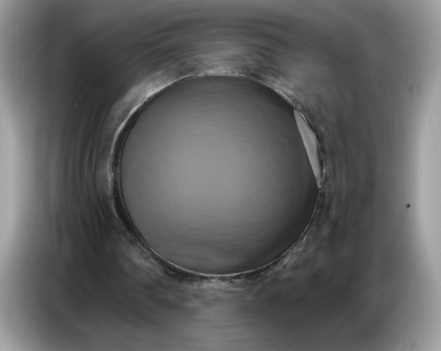 X0000086750290200704271716