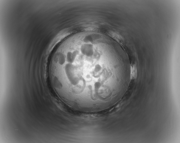 X0000086750291200704271716