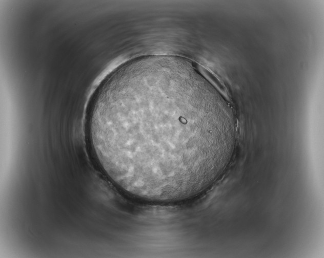 X0000086750292200704271716