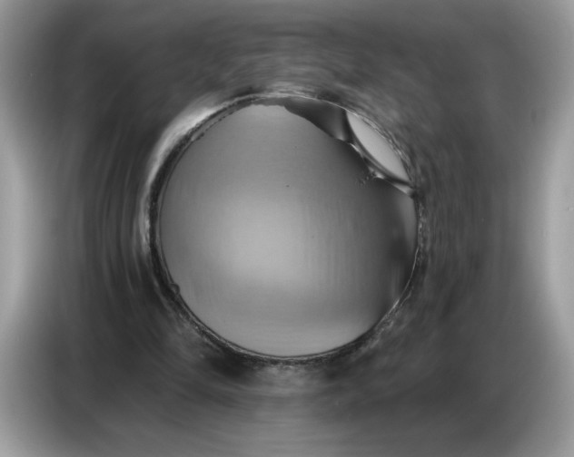 X0000086750294200704271716