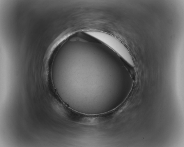 X0000086750295200704271716