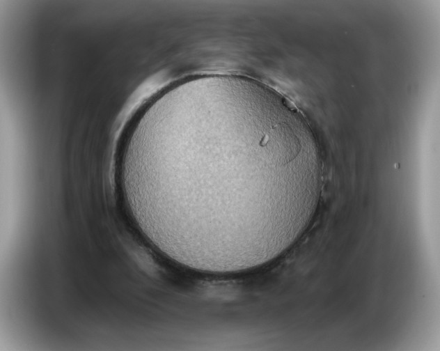 X0000086750296200704271716