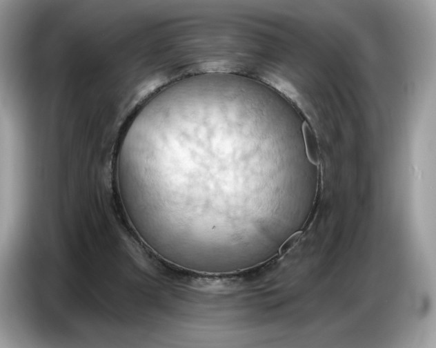 X0000086750297200704271716